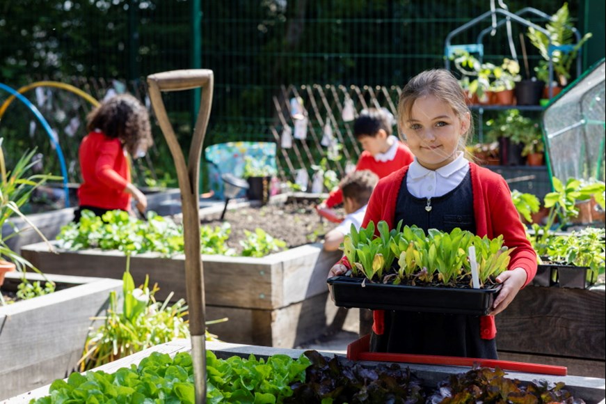 Some children gardening