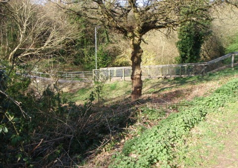 Broadlands Valley