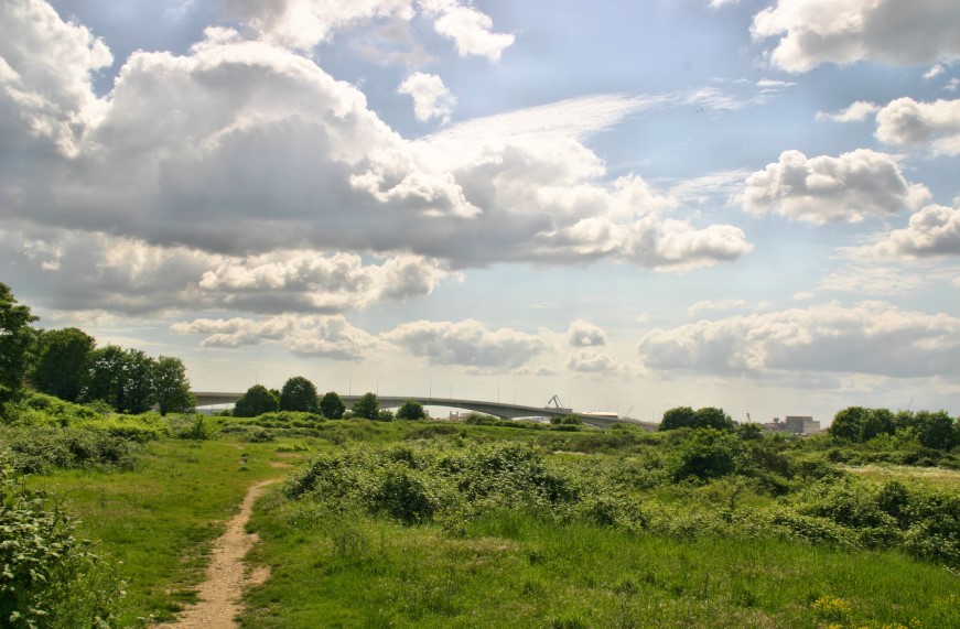Peartree Green
