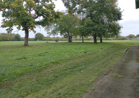 Weston Rec