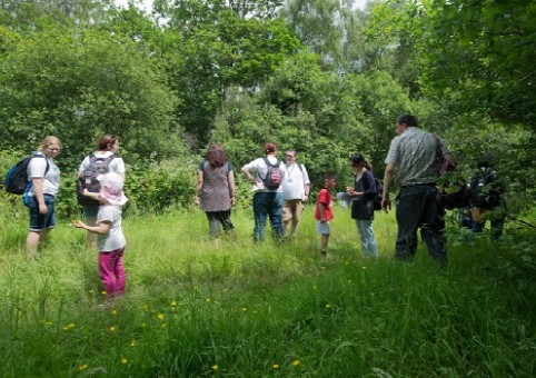 People volunteering in a park