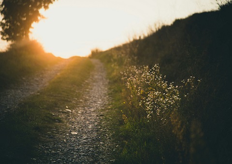 Country path at sunset