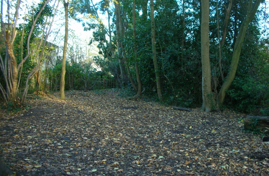 Green Lane Copse